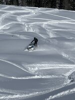 IMG_6472.jpeg