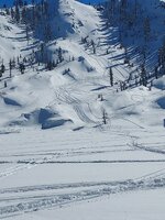 20240210_125139.jpg 20240210_125139.jpg