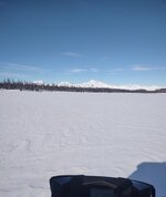 IMG_20240227_130800464.jpg