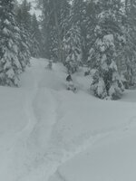 20240303_134458.jpg 20240303_134458.jpg