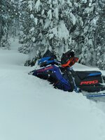 20240303_124606.jpg 20240303_124606.jpg