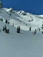 20240307_105051.jpg
