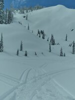 20240307_112922.jpg