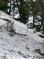 IMG_2690.jpeg
