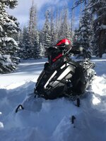 IMG_3290.jpeg