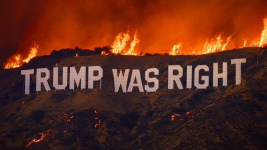 1736722890127.png
