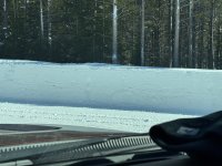 IMG_0388.jpeg