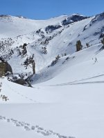 20250308_123718.jpg