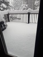 IMG_7481.jpeg