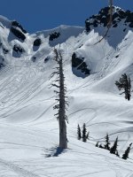 IMG_7521.jpeg