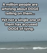 1743476393198.png