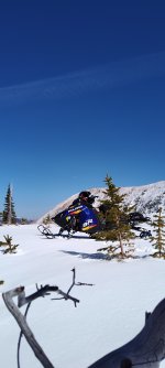 IMG_20250406_144300484.jpg