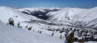 IMG_20250406_123757034.jpg