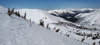 IMG_20250406_123755180.jpg