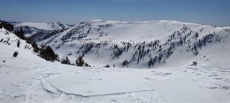 IMG_20250406_123656117.jpg