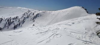 IMG_20250406_123654631.jpg