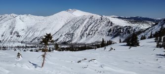 IMG_20250406_123649780.jpg