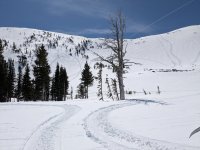 PXL_20250415_193645570.jpg