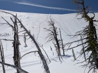 PXL_20250415_190943434.jpg