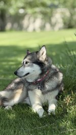 IMG_7632.jpeg