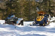 New sled and Rev pics, ava 012.jpg