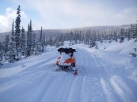 m8 in snow on road from wrm hut.jpg