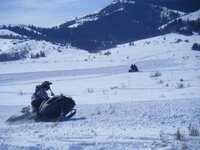 snow hawk race elk horn.jpg