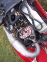 100_1358.jpg 100_1358.jpg