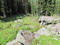 IMG_0450 (Small).jpg