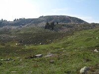 IMG_0491.jpg