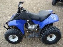 atv tires and kazuma quad 005 [320x200].jpg