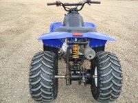atv tires and kazuma quad 006 [320x200].jpg