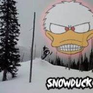Snow Duck